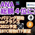 仮想通貨 SOLANA 時価総額４位に急騰🚀【ニュース + BTC ETH XRP IOST OMG SOL チャート分析】