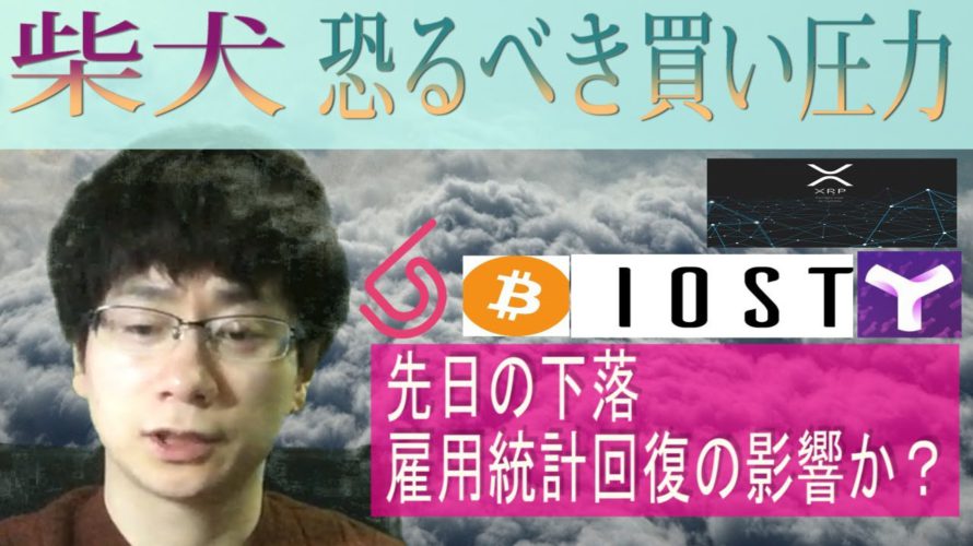 【XYM・IOST・BTC・XRP·BitDAO】柴犬コイン下落からのテクニカル無視の恐るべき買い圧力。