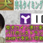 【XYM・SHIB・IOST・BTC・XRP】上昇予兆を把握すべし