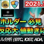 仮想通貨 テクニカル分析【11/16 今後の予想（BTC、IOST、ADA、XEM）】