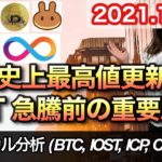 仮想通貨 テクニカル分析【11/8 今後の予想（BTC、IOST、ICP、CAKE）】