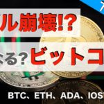 【BTC、ETH、ADA、IOST、XRP】バブル崩壊！？どうなる？ビットコイン（2021年12月4日 相場分析）