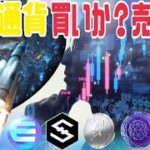 仮想通貨は今が買いか？売りか？答えは◯◯です。【シンボル】【IOST】【エンジン】【ステラルーメン】【クアンタム】