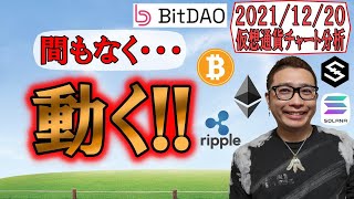 【仮想通貨 ビットコインBTC & アルトコイン 分析】間もなく・・・動く!!BTC & ETH & XRP & SOL & IOST & BIT