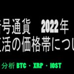 【BTC・XRP・IOST】ビットコイン明暗を分ける価格帯について