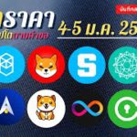 วิเคราะห์เหรียญ FTM SHIB SAND POW IOST ALPHA BABYDOGE ICP CVC SUSHI | 4-5/1/65 (DC ผู้สนับสนุน) EP.3
