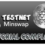 MINSWAP na TESTNET – TUTORIAL COMPLETO I Pools de Liquidez / Swap / Zap – A DEX da Comunidade I DeFi