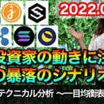 仮想通貨 テクニカル分析【2/13 今後の予想（BTC、JMY、IOST、ETH、XRP、SOL、LUNA）】