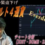 暴落をチャンスに変える【IOST・DOME・Zaif・パレットトークン】