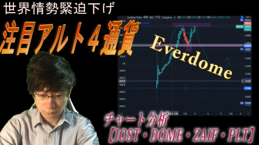 暴落をチャンスに変える【IOST・DOME・Zaif・パレットトークン】