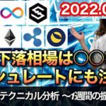 仮想通貨 テクニカル分析【2/19 今後の予想（BTC、ICP、IOST、ETH、XRP、LUNA）】