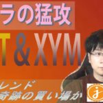 暗号通貨界隈の下落トレンド終わりシグナルを見切る【BTC・IOST・JASMY・XRP・XYM】