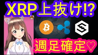 03/21【仮想通貨】BTC・XRP・IOST相場分析♡毎日聞くだけで勝率UP♪寝る前・通勤・お休み中に♡本日は春分の日♡