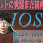 IOST第三波の限界突破予兆について【XYM・IOST・XRP・BGB・BTC】