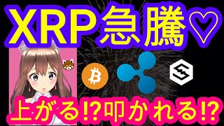 03/12【仮想通貨】BTC・XRP・IOST相場分析♡毎日聞くだけで勝率UP♪寝る前・通勤・お休み中に♡本日はパンの日♡