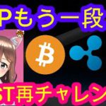 03/23【仮想通貨】BTC・XRP・IOST相場分析♡毎日聞くだけで勝率UP♪寝る前・通勤・お休み中に♡本日は乳酸菌の日♡