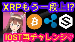 03/23【仮想通貨】BTC・XRP・IOST相場分析♡毎日聞くだけで勝率UP♪寝る前・通勤・お休み中に♡本日は乳酸菌の日♡