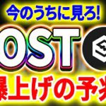 【人生を変えろ！】IOSTに爆上げファンダ！上昇なるか？【仮想通貨】【暗号通貨】【投資】【副業】【初心者】