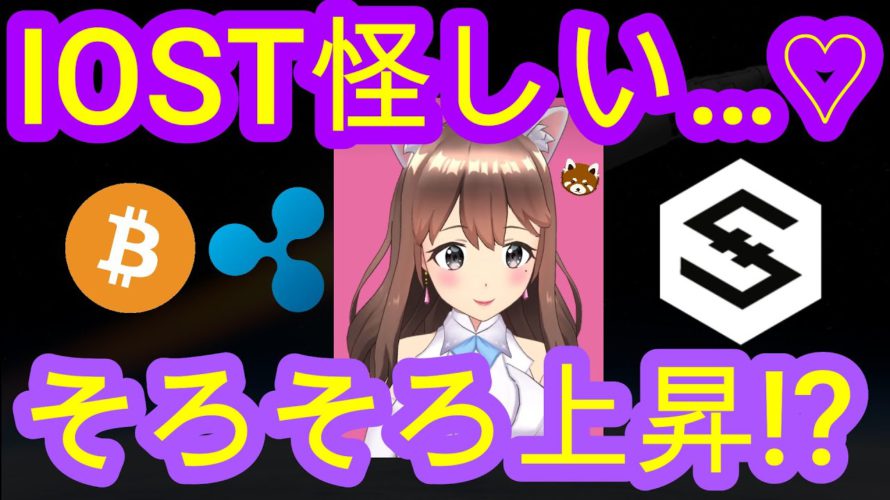 04/24【仮想通貨】BTC・XRP・IOST相場分析♡毎日聞くだけで勝率UP♪寝る前・通勤・お休み中に♡bybit(バイビット)リンク今なら超お得♡説明欄へGO!