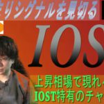 IOST文句無しの週足確定に期待【BTC・IOST・XYM・BGB・XRP】