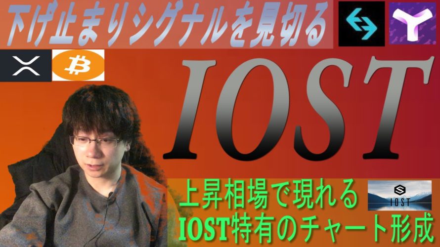 IOST文句無しの週足確定に期待【BTC・IOST・XYM・BGB・XRP】