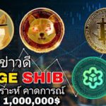 คาดการณ์ BTC เตรียมขึ้นครั้งใหญ่ ราคา GMT APE ZIL IOST BTZ แนวโน้มวันนี้ SW