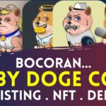 DUKUNG BABY DOGE COIN LISTING DI BYBIT !! BOCORAN PROJECT DEFI SWAP DAN BABY DOGE NFT