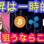 04/26【仮想通貨】BTC・XRP・IOST相場分析♡毎日聞くだけで勝率UP♪寝る前・通勤・お休み中に♡bybit(バイビット)リンク今なら超お得♡説明欄へGO！