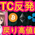 05/13【仮想通貨】BTC・XRP・IOST相場分析♡毎日聞くだけで勝率UP♪寝る前・通勤・お休み中に♡bybit(バイビット)リンク今なら超お得♡5月末まで！詳しくは説明欄へGO！
