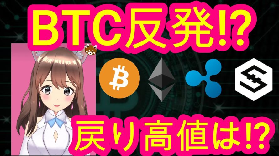 05/13【仮想通貨】BTC・XRP・IOST相場分析♡毎日聞くだけで勝率UP♪寝る前・通勤・お休み中に♡bybit(バイビット)リンク今なら超お得♡5月末まで!詳しくは説明欄へGO!