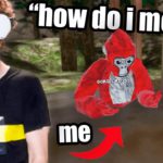 Pretending to Be NEW in Gorilla Tag VR (Oculus Quest 2)