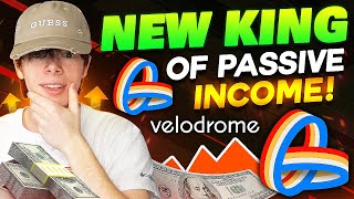 Velodrome Could Be The NEXT Curve & Convex Finance! (Optimism Liquidity) – DeFi Passive Income