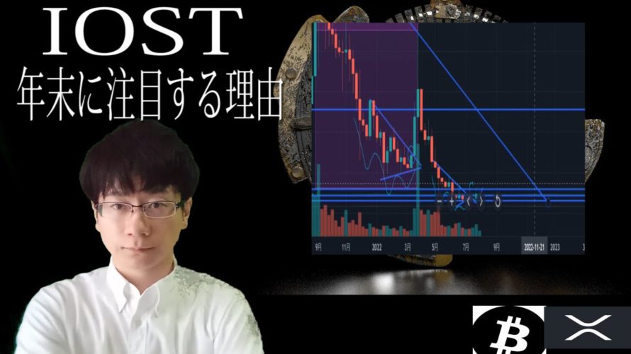 【BTC・XRP・IOST】IOST年末に注目する理由