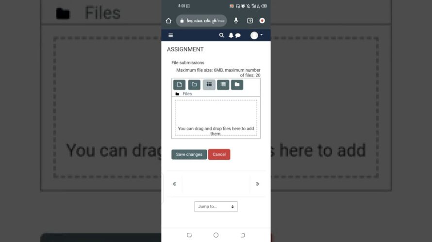 How you can submit your assignments to your lms portal 👍