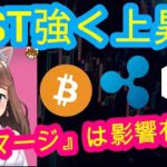 08/11【仮想通貨】BTC・XRP・IOST♡インスタは説明欄から登録してね↓↓↓