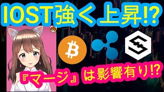 08/11【仮想通貨】BTC・XRP・IOST♡インスタは説明欄から登録してね↓↓↓