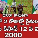 pmkisan12th installment latest news|pmkisan ekyc status|pm kisan payment status@KING NEWS UPDATES
