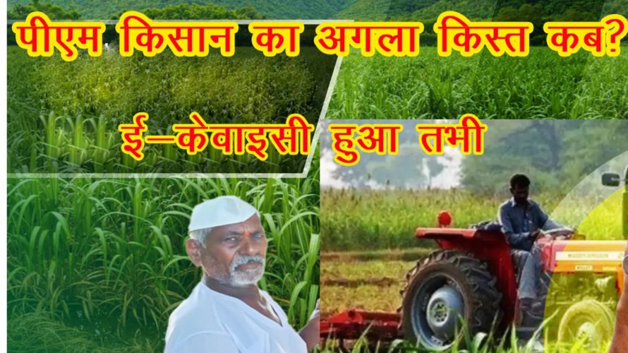 Ekyc Pmkisan. eKYC Pmkisan. PMKISAN Next Installment. अगला क़िस्त कब आएगा ?