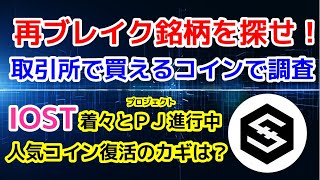 【仕込み第6弾】IOSTは間違いなくスペックが高いコイン・再ブレイクの可能性を探る【仮想通貨】【割安】【アルトコイン】【NFT】【爆益】