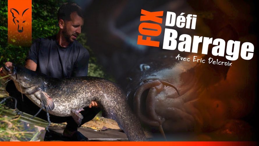 Défi Barrage avec Éric Delcroix // PARTIE 4 | Pêche à la Carpe FOX TV