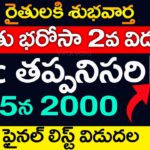 రైతు భరోసా ఫైనల్ లిస్ట్ విడుదల | YSR Rythu Bharosa eKyc Update | Rythu Bharosa Payment | @ViralVasu