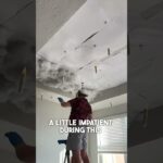 I made a DIY Harry Potter Ceiling In My Living Room 😍⚡️☁️