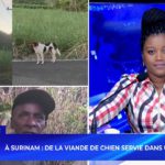 [Info Soirée] : «Line vane laviann lisien fer kwar bouk pou Rs 300»