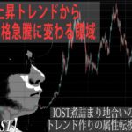 【BTC・IOST】半減期前上昇トレンドに乗れるかが古参・新参を分ける