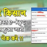 PM Kisan Ekyc Status Kaise Check Kare | Pm Kisan Kyc Status Check 2023 | Online Process