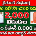 రైతులకి చివరి విడత 2,000 | YSR Rythu Bharosa | PM Kisan 13th Installment | eKyc Status| @ViralVasu