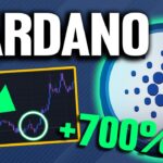 TOP Passive Income Stream! (Cardano Crypto Defi)