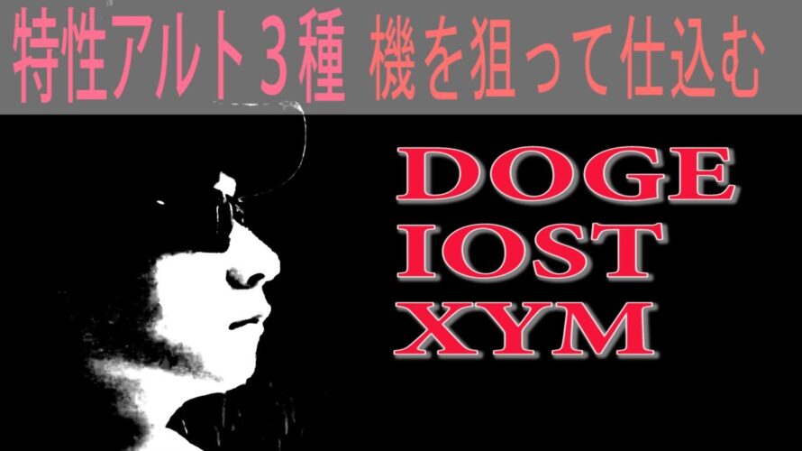 【DOGE・IOST・XYM】タイミングを狙って仕込む
