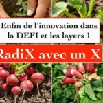RADIX 🚨 ENFIN DE L’INNOVATION DANS LA DEFI ET LES BLOCKCHAINS LAYER 1 🔬🧪🔥 PROCHAINE STAR DE LA DEFI?