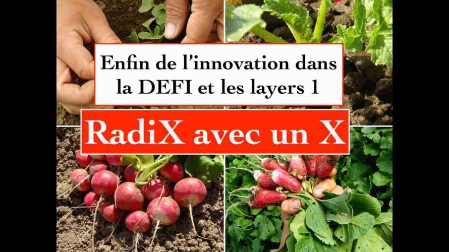 RADIX 🚨 ENFIN DE L’INNOVATION DANS LA DEFI ET LES BLOCKCHAINS LAYER 1 🔬🧪🔥 PROCHAINE STAR DE LA DEFI?